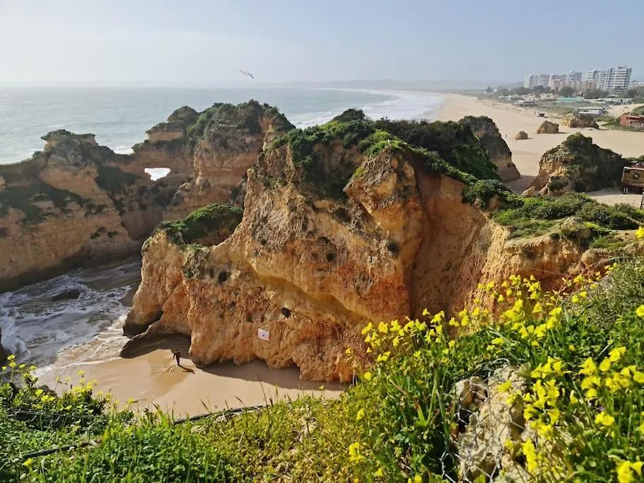 Homestay Albur Beach House Apartment Alvor